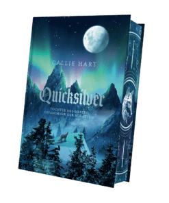 2025-06-Quicksilver-Mockup Bezug.png